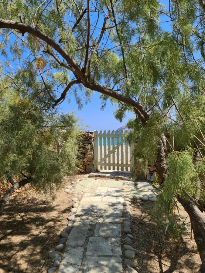 Nature Eco Living Serifos Livadi  Exterior photo